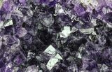 Purple Amethyst Cluster - Uruguay #66768-2